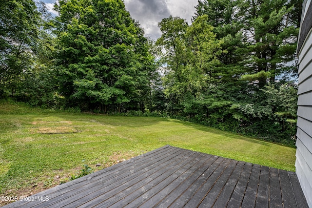 18 Orchard Ter, North Greenbush, NY 12198 - photo 7