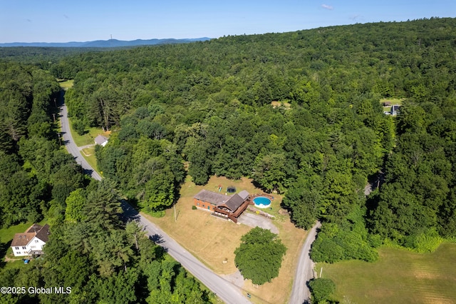 345 Goodman Rd, Fort Ann, NY 12827 - aerial view of property and surrounding area with a heavily wooded area