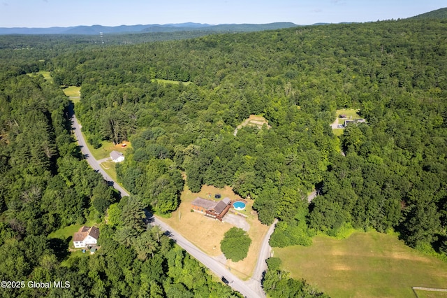 345 Goodman Rd, Fort Ann, NY 12827 - aerial overview of property's location with a forest