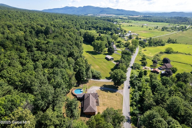 345 Goodman Rd, Fort Ann, NY 12827 - overview of rural landscape featuring a forest and a mountainous background