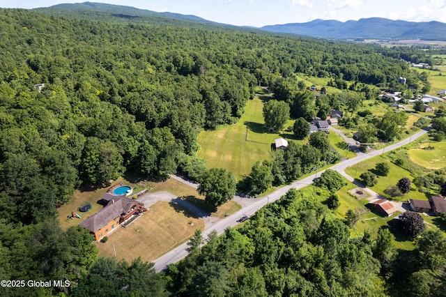 345 Goodman Rd, Fort Ann, NY 12827 - aerial view of property and surrounding area featuring a forest and a mountainous background