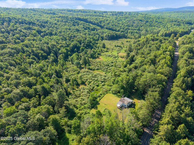 412 Keyserkill Rd, Broome, NY 12122 - photo 17