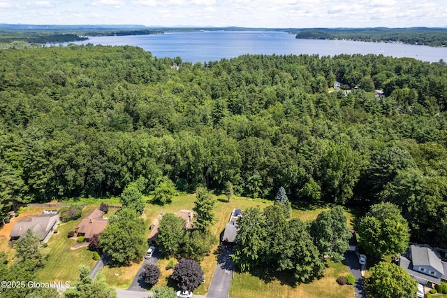 41 Meadow Rue Pl, Malta, NY 12020 - photo 34