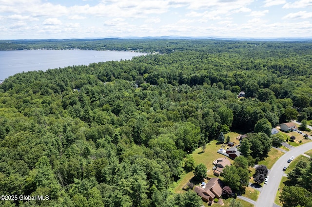 41 Meadow Rue Pl, Malta, NY 12020 - photo 35
