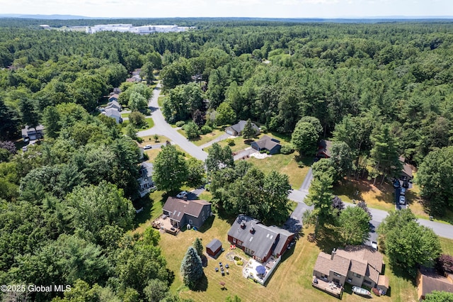 41 Meadow Rue Pl, Malta, NY 12020 - photo 36