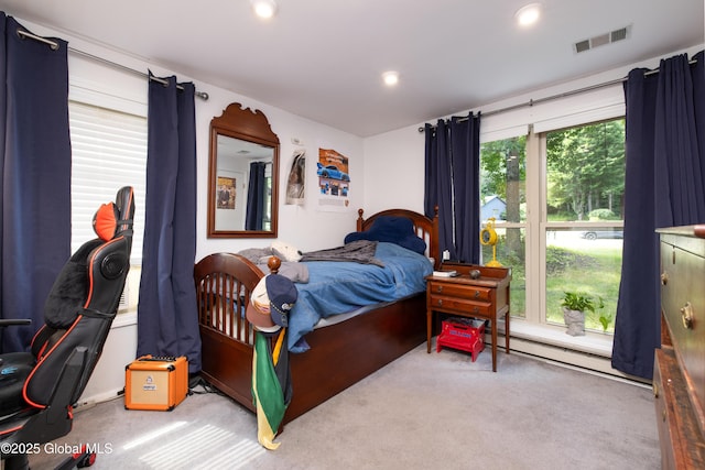 41 Meadow Rue Pl, Malta, NY 12020 - photo 27