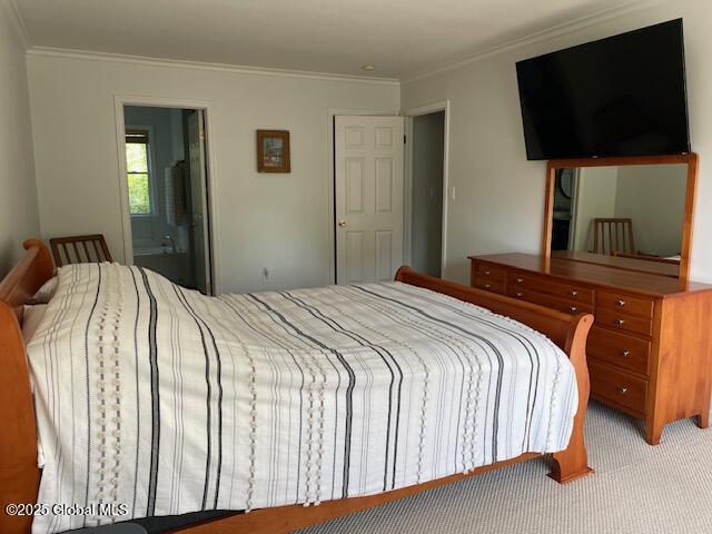 6 Patroon Way, Halfmoon, NY 12065 - bedroom with crown molding, light carpet, and ensuite bathroom