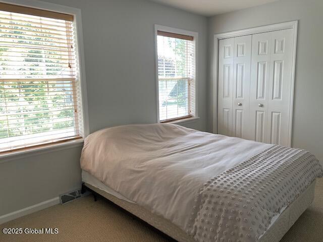 6 Patroon Way, Halfmoon, NY 12065 - carpeted bedroom with baseboards and a closet