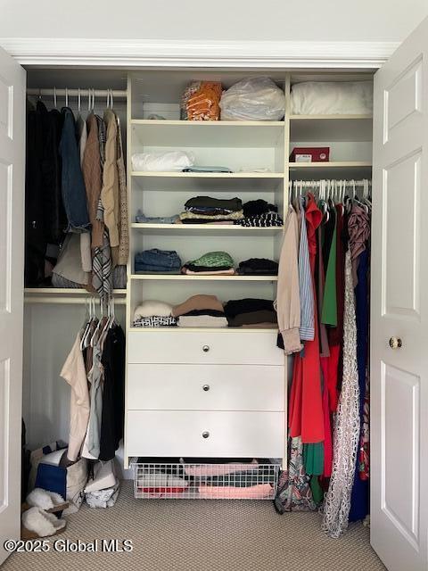 6 Patroon Way, Halfmoon, NY 12065 - view of closet