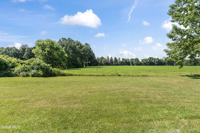 2289 Hickory Hill Rd, Mohawk, NY 12068 - view of grassy yard featuring a rural view
