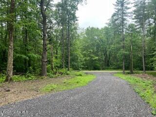 L30.4 Gale Hill Rd, New Lebanon, NY 12060 - photo 6