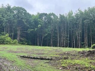 L30.4 Gale Hill Rd, New Lebanon, NY 12060 - photo 7