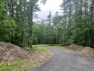 L30.4 Gale Hill Rd, New Lebanon, NY 12060 - photo 1