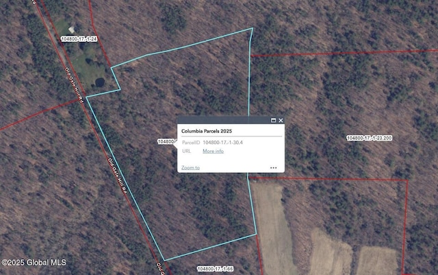 L30.4 Gale Hill Rd, New Lebanon, NY 12060 - photo 3