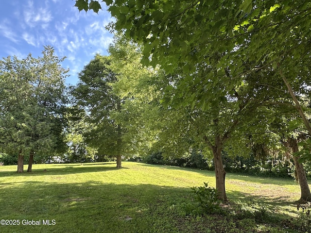 3292 Simmons Rd, Vernon, NY 13476 - photo 57