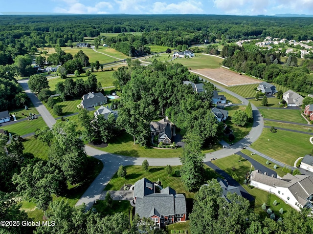 13 Bridlewood Loop, Clifton Park, NY 12148 - aerial overview of property's location featuring nearby suburban area