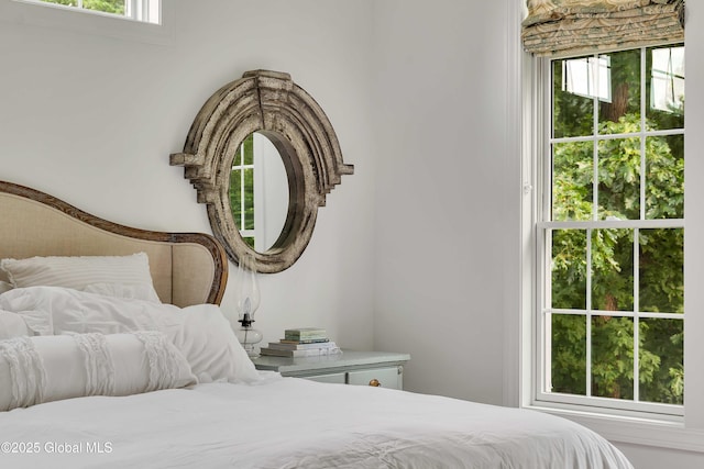 13 Bridlewood Loop, Clifton Park, NY 12148 - view of bedroom