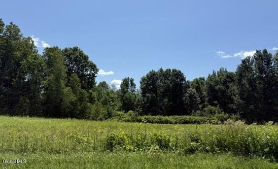 L43.114 Log City Rd Lot 4, Amsterdam, NY 12010