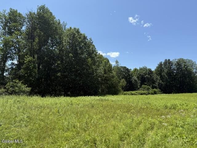 L43.114 Log City Rd Lot 4, Amsterdam, NY 12010