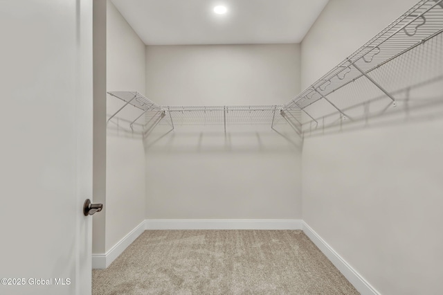 606 Vly Pointe Dr, Niskayuna, NY 12309 - walk in closet with carpet flooring