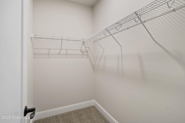 606 Vly Pointe Dr, Niskayuna, NY 12309 - walk in closet with carpet flooring