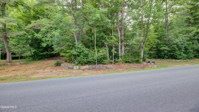 119 Seven Hills Rd, Northville, NY 12134 - photo 43