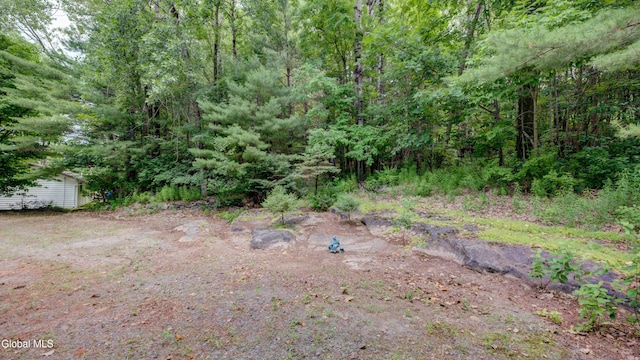119 Seven Hills Rd, Northville, NY 12134 - photo 44
