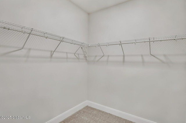 602 Vly Pointe Dr, Niskayuna, NY 12309 - walk in closet featuring carpet floors