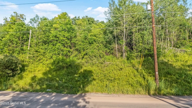 L31.1 County Rd 32, Norwich, NY 13815 - photo 7