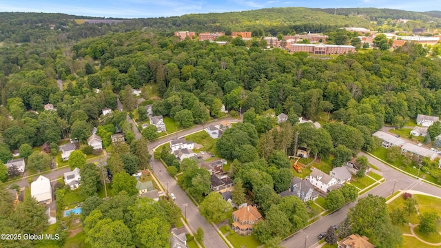 31 Cedar St, Oneonta, NY 13820 - aerial view of property's location with a heavily wooded area