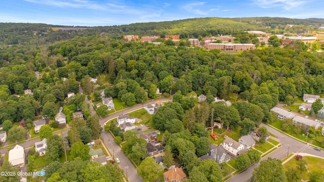 31 Cedar St, Oneonta, NY 13820 - drone / aerial view of a heavily wooded area