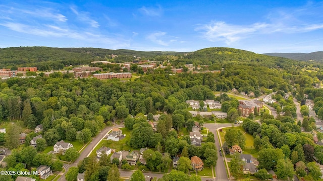 31 Cedar St, Oneonta, NY 13820 - aerial overview of property's location featuring a heavily wooded area and a mountain backdrop