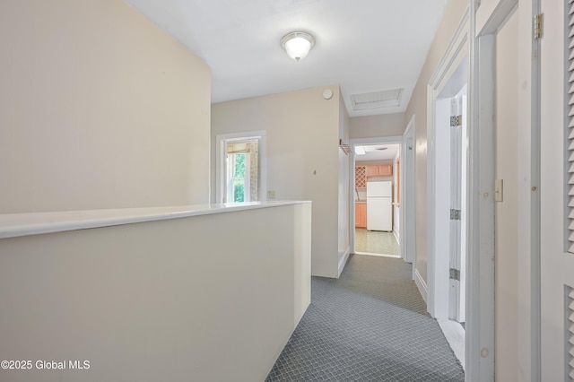 31 Cedar St, Oneonta, NY 13820 - corridor with dark carpet