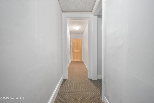 31 Cedar St, Oneonta, NY 13820 - hall with baseboards and a textured ceiling
