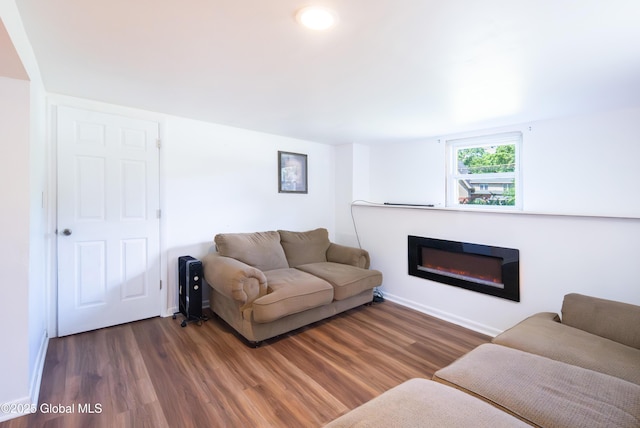 99 Fiddlers Ln, Colonie, NY 12110 - living area with wood finished floors and a glass covered fireplace