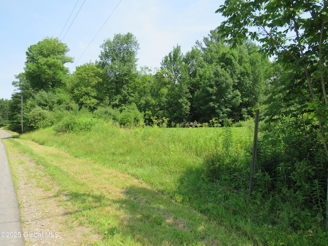 614 N Bush Rd, Johnstown, NY 12095