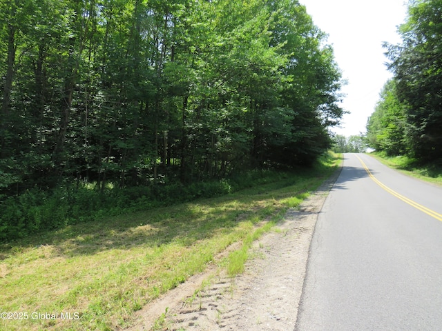 614 N Bush Rd, Johnstown, NY 12095