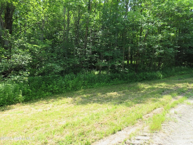 614 N Bush Rd, Johnstown, NY 12095