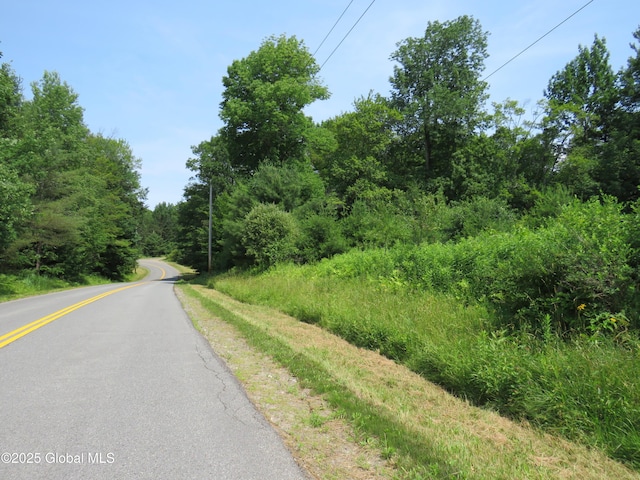 614 N Bush Rd, Johnstown, NY 12095