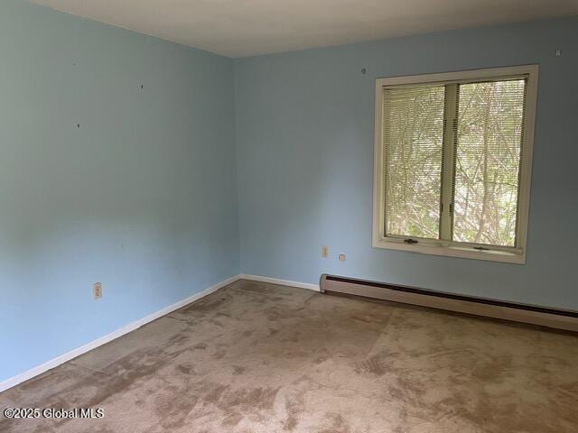 200 Hinrichsen Heights Rd, Coxsackie, NY 12051 - photo 13