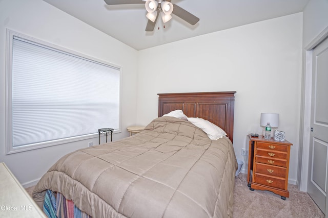 3A Idared Ln, Halfmoon, NY 12065 - photo 21