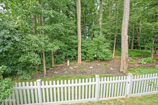 3A Idared Ln, Halfmoon, NY 12065 - photo 28