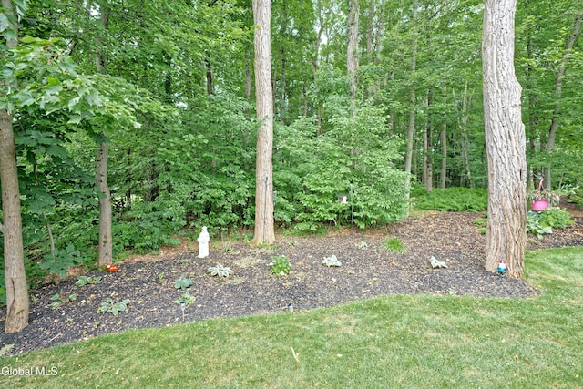 3A Idared Ln, Halfmoon, NY 12065 - photo 30