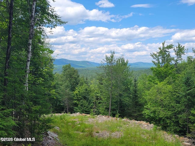 15 Lost Mine Rd, Johnsburg, NY 12853 - photo 1