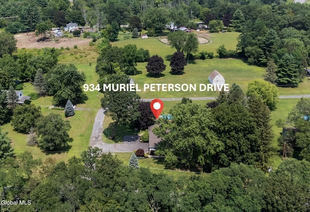 934 Muriel Peterson Dr, Princetown, NY 12056 - photo 39