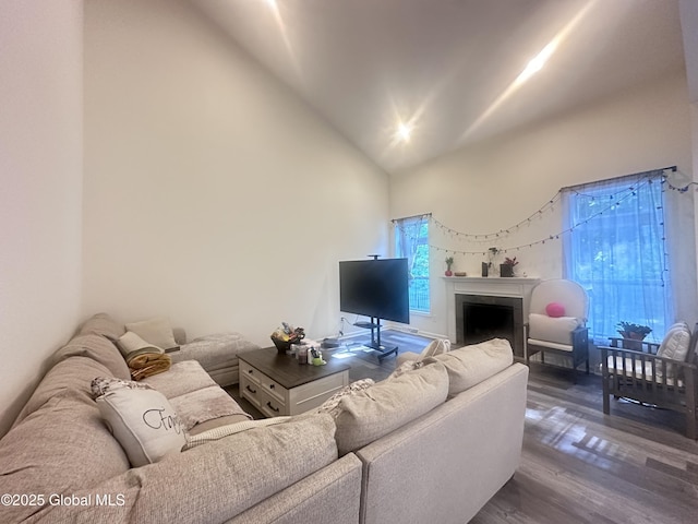 30B Idared Ln, Halfmoon, NY 12065 - living room featuring wood finished floors, high vaulted ceiling, and a fireplace