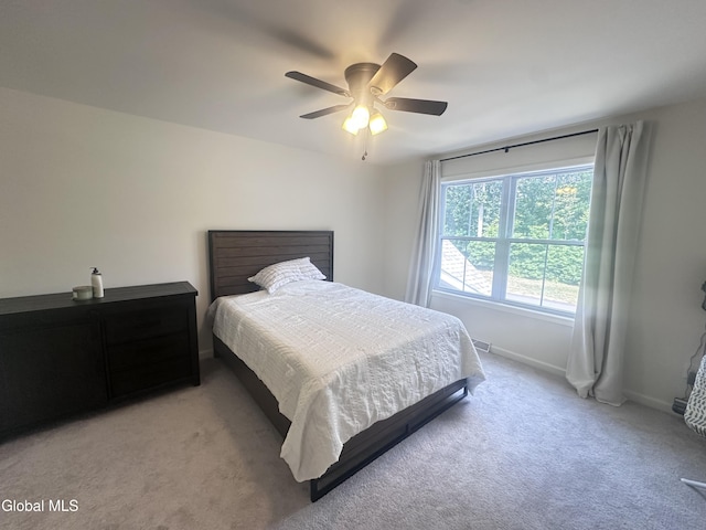 30B Idared Ln, Halfmoon, NY 12065 - photo 14