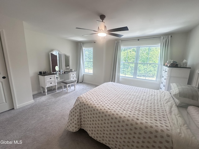 30B Idared Ln, Halfmoon, NY 12065 - photo 17
