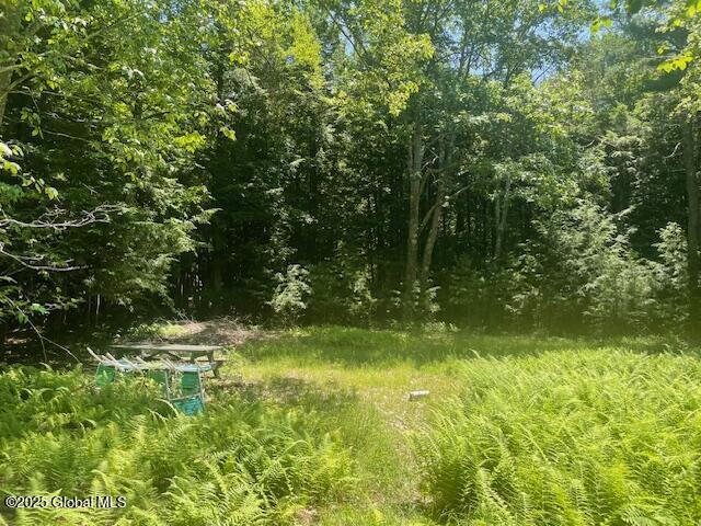 204 Bauer Rd, Sand Lake, NY 12018 - photo 14