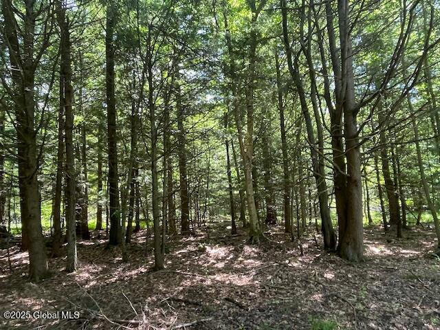 204 Bauer Rd, Sand Lake, NY 12018 - photo 1